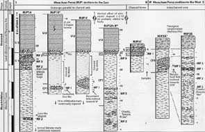 Stratigraphic columns of the Mesa san Juan-Sierrita area of Peter Schulte